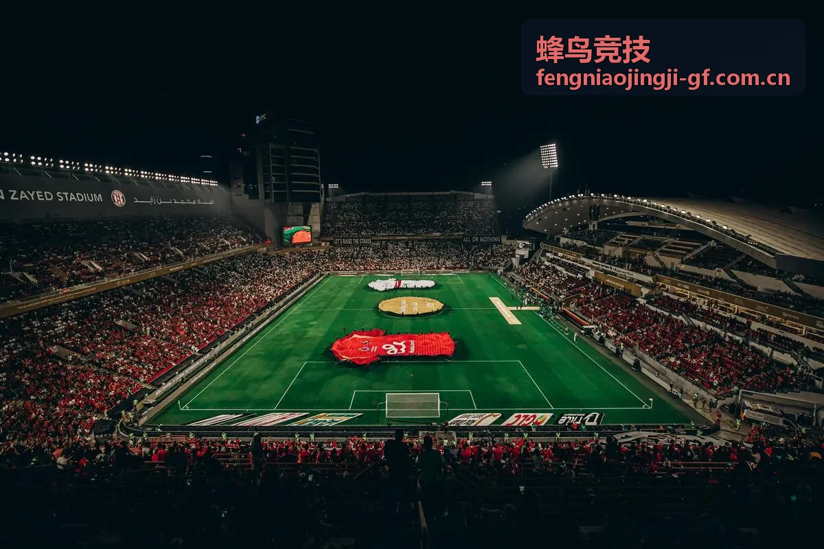 蜂鸟竞技地图节奏复盘攻略封面
