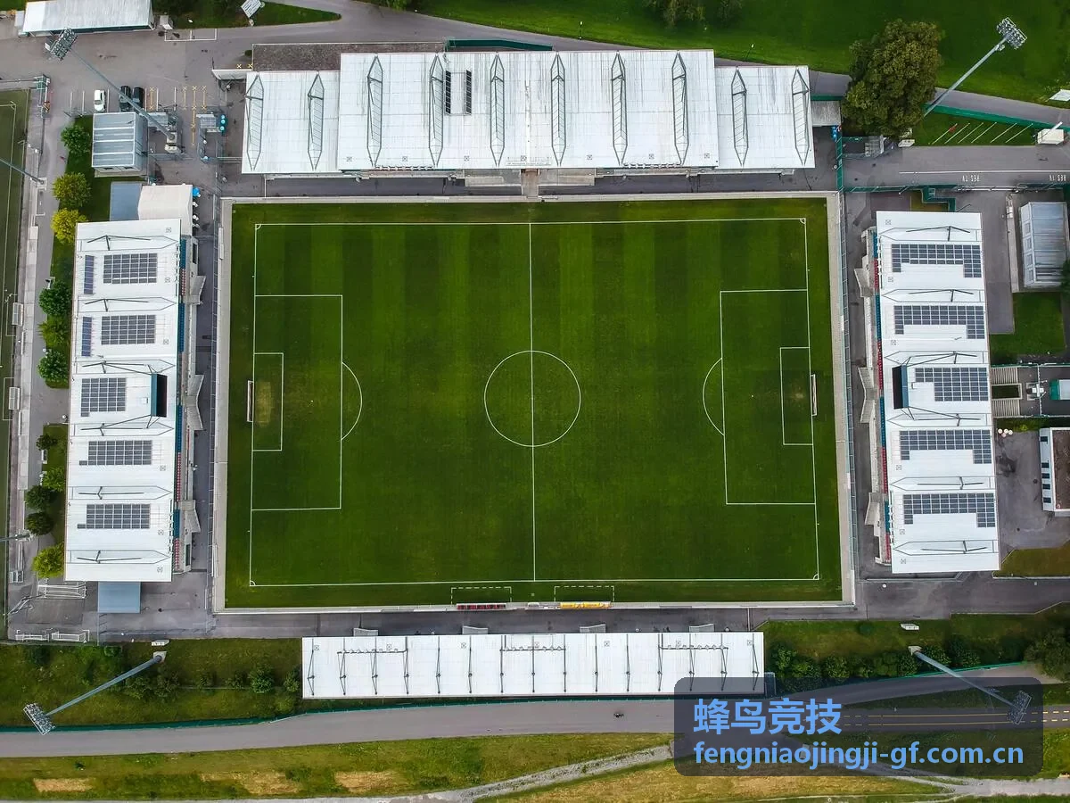 蜂鸟竞技巅峰竞速邀请赛决赛画面